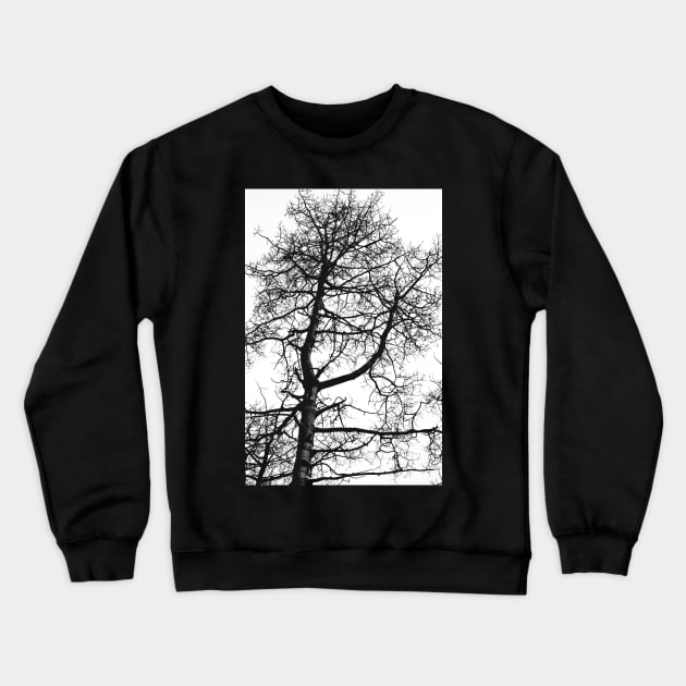 tree Crewneck Sweatshirt by pholange